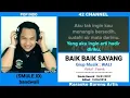 Download Lagu Baik-baik sayang Karaoke duet dengan artis