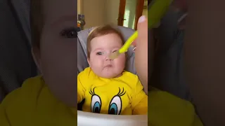 بيبي يضحك  بيبي يضحك