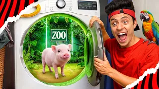 I HID ANIMALS IN SECRET ROOMS INSIDE MY HOUSE!