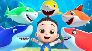 ليا تشاتشا               القرش الصغير دو دو دو دو   بيبي شارك دندنها
