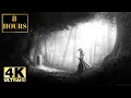 Samurai Fantasy Warrior Manga Ninja Wallpaper Screensaver Background With Music 4K 8 HOURS