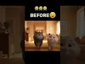 Download Lagu She just wanted love... 😿🥺 | kasihan #cat #veo3 #fypシ゚viral #cat #sadstatus #kasihan #aianimation