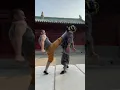 Download Lagu Shaolin Kungfu kick