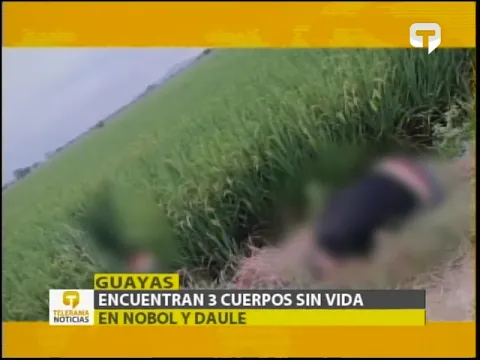 Balacera en la Coop. Unión de Bananeros deja 4 heridos