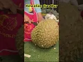KEWALIAN GUS DUR DISAKSIKAN PENJUAL DURIAN #shorts #sholawat #gusdur #mbahmoen #waliallah