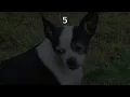 Ben Fuller ~ Don't Let Me Forget Karaoke
