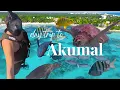 Don t Visit Tulum Without Doing This Akumal Mexico Guide