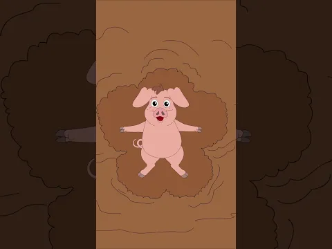 🐷 Unsere Schweinchen haben ihre eigene Ordnung im Saustall | Sing Kinderlieder