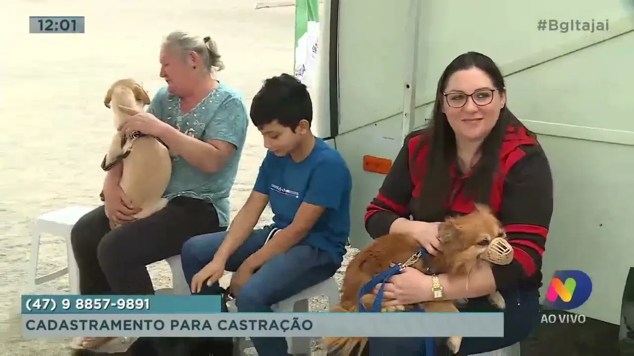 Itajaí promove mutirão de castração de animais nessa semana