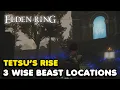 Elden Ring - Tetsu s Rise 3 Wise Beast Locations Guide