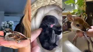 Nearby Rescue