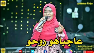 عاجباهو روحو مودة مصطفى NEW2024 