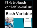 Bash variables