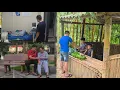Download Lagu Mother is sick, two sons help her pick bananas to sell to get money for medical treatment .dangthidu
