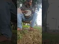 Aesop Mountain (Andy Thorn Banjo Tutorial)