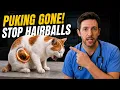 Just Add THIS to Your Cat s Bowl to Stop Hairballs NATURALLY