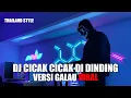 Download Lagu DJ CICAK CICAK DI DINDING GALAU THAILAND STYLE TIK TOK REMIX TERBARU 2024