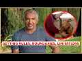 How to Stop PUPPY BITING Cesar 911