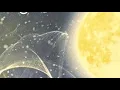 Download Lagu Какво става в Камчатка? | Проф. Бойко Рангелов на живо