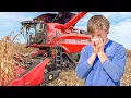 Download Lagu Harvest Disasters Are Stopping My Mansion Build