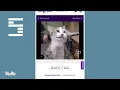 Top 10 petfinder pets