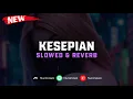 Download Lagu Eenzame DJ (Slowed \u0026 Reverb) 🎧