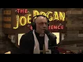 Download Lagu Karlyn mentioned on the Joe Rogan Experience