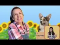 Bingo + More Nursery Rhymes & Kids Songs - Ms Rachel