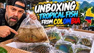 HUGE Fish Shipment from Colombia… Everything Was PERFECT Until This ONE BOX! 😳