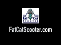 How to buy a Scooter on Craigslist - Fat Cat Scooter