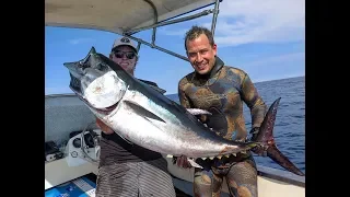 Spearfishing Sydney and swimming with a School of Rays, (Underwater Ally Adventures) Ep.23