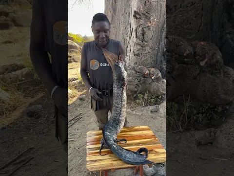 Hadza bushmen favorite new catch in the bush