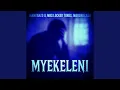 Download Lagu Myekeleni