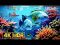 Lagu 8K HDR Ocean Life | Colorful Coral Reefs \u0026 Ocean Animals