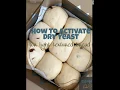 How to Proof or Activate Dry Yeast Correctly