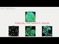 Plant Leaf Disease Detection Using Image Processing Healthy Unhealthy Plant Detection Matlab Code