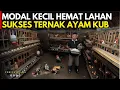 Lagu MODAL KECIL SUKSES TERNAK AYAM KUB DI LAHAN SEMPIT DAN TIDAK BAU NAMUN HASIL MAKSIMAL | CERITA USAHA