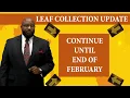 Leaf Collection Update