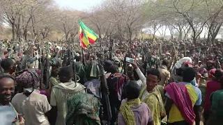 በአርበኛ መከታው ማሞ በሚመራው የአማራ ፋኖ ሸዋ ጠቅላይ ግዛት ዕዝ ስር ያሉ የራሳ ቀጠና አባት አርበኛች 