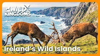 Ireland's Incredible Beauty And Rugged Coastlines - Part 1 | Ireland's Wild Islands