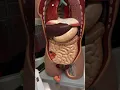 GI Lab Sphincters