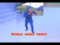 Download Lagu Mjolo Wuna Venyi - Pastor Lloyd ft Mike S.A