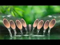 Relaxing music and sound of bamboo water helps to stabilize the mind restore health Stress Relief