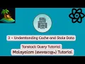 Tanstack Query React Query 3 - Understanding Cache and Stale Data Malayalam Tutorial