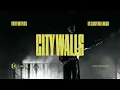 Twenty One Pilots - City Walls (Live at The Clancy Tour: Breach)