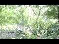 Travel Waterloo Episode 12 Dig an Oasis of Natural Beauty