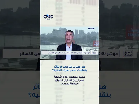 هل هناك شركات لا تتأثر بتقلبات سعر صرف الجنيه؟