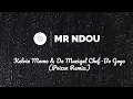 Bo Gogo (Poizen Remix) - Kelvin Momo & Da Muziqal Chef