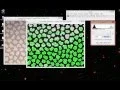 How to do Image Thresholding in ImageJ