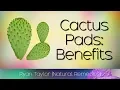 Download Lagu Cactus Leaf: Benefits \u0026 Uses (Nopales)